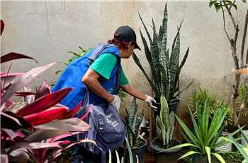 Índice de 5% liga sinal de alerta para nova ação intensificada de combate às infestações de Aedes aegypti. 